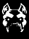 pitbull
